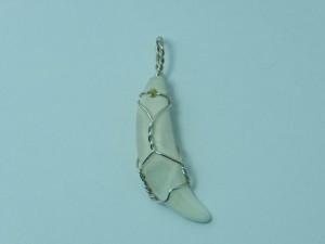 0910-32,coyote,tooth,necklace,handcrafted,CT,jewelry