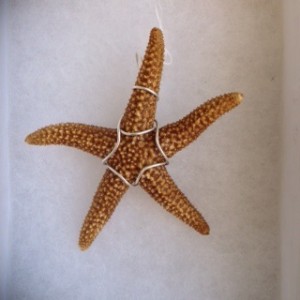1507-04 natural starfish pendant