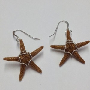 A starfish earring pair